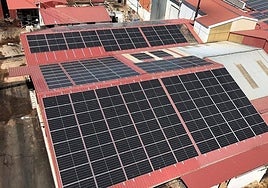 Placas solares instaladas en la cooperativa.