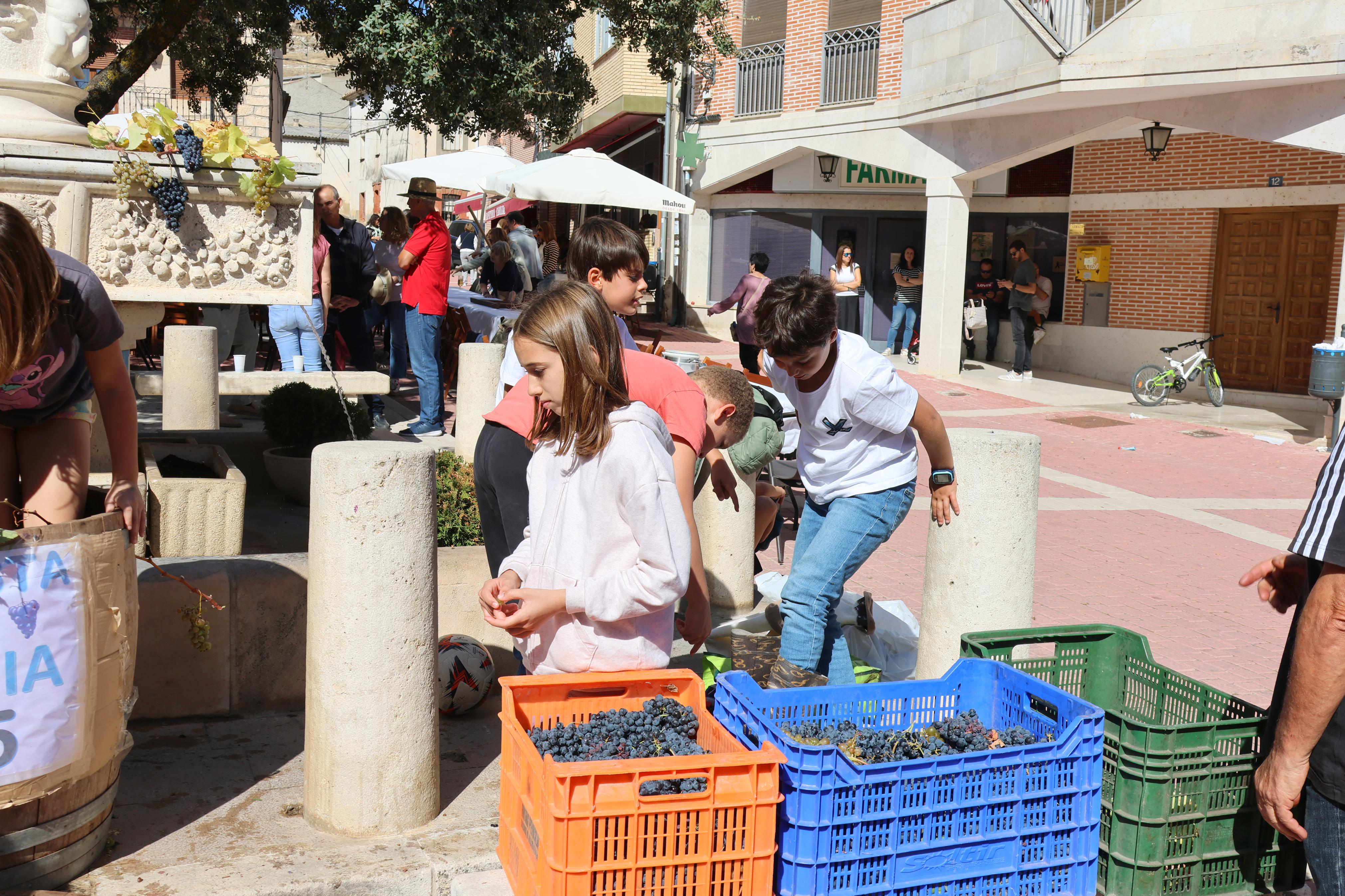 XVII Fiesta de la Vendimia en Castrillo de Don Juan