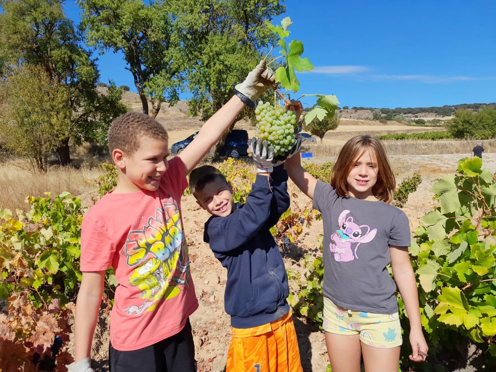 XVII Fiesta de la Vendimia en Castrillo de Don Juan
