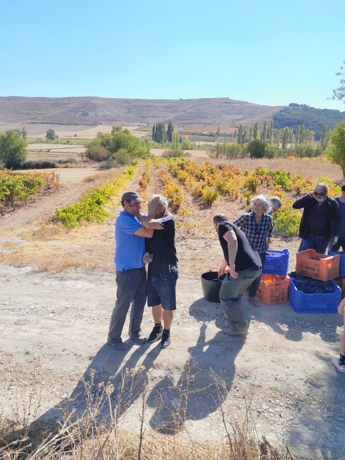 XVII Fiesta de la Vendimia en Castrillo de Don Juan