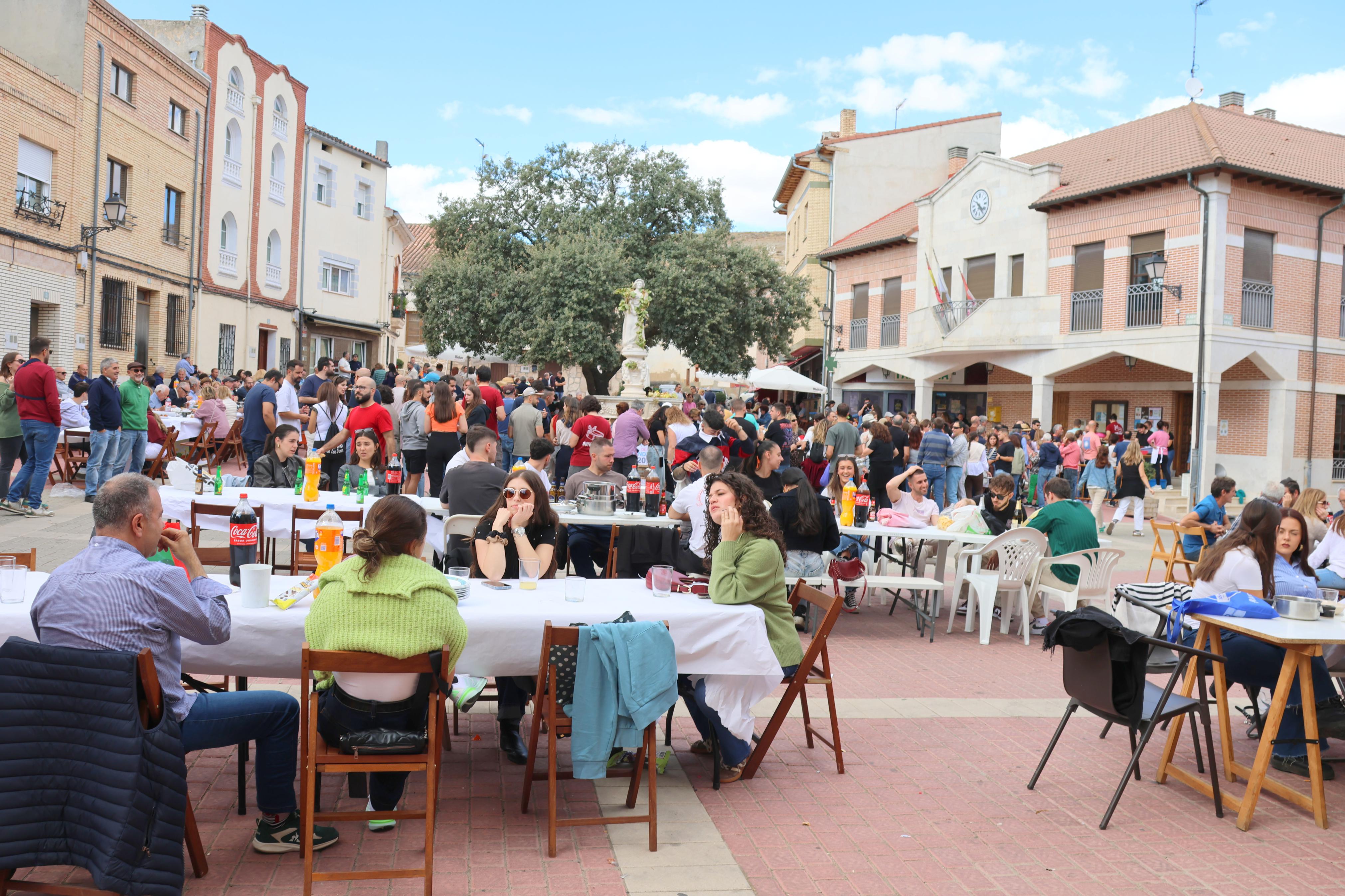 XVII Fiesta de la Vendimia en Castrillo de Don Juan