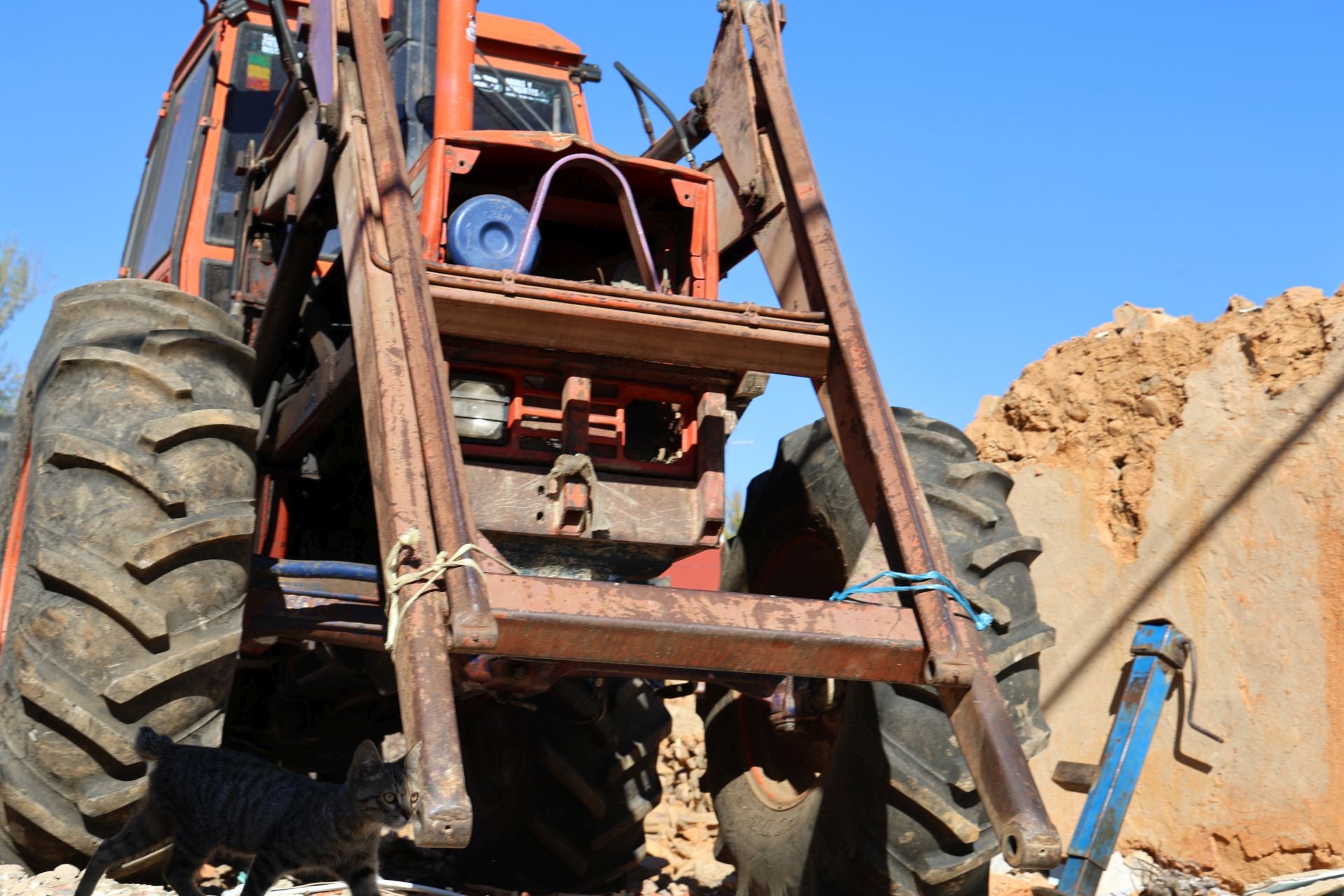Las imágenes de la situación actual en Castrocalbón y Quintana y Congosto tras los incendios