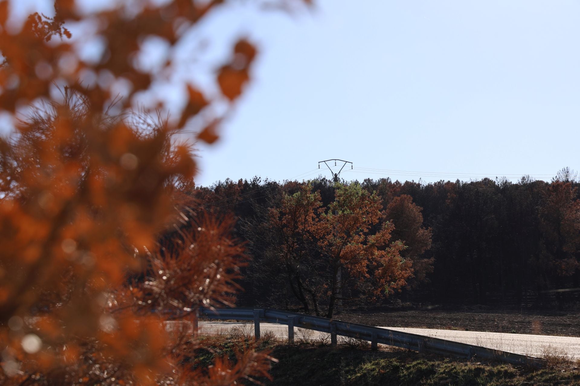 Las imágenes de la situación actual en Castrocalbón y Quintana y Congosto tras los incendios