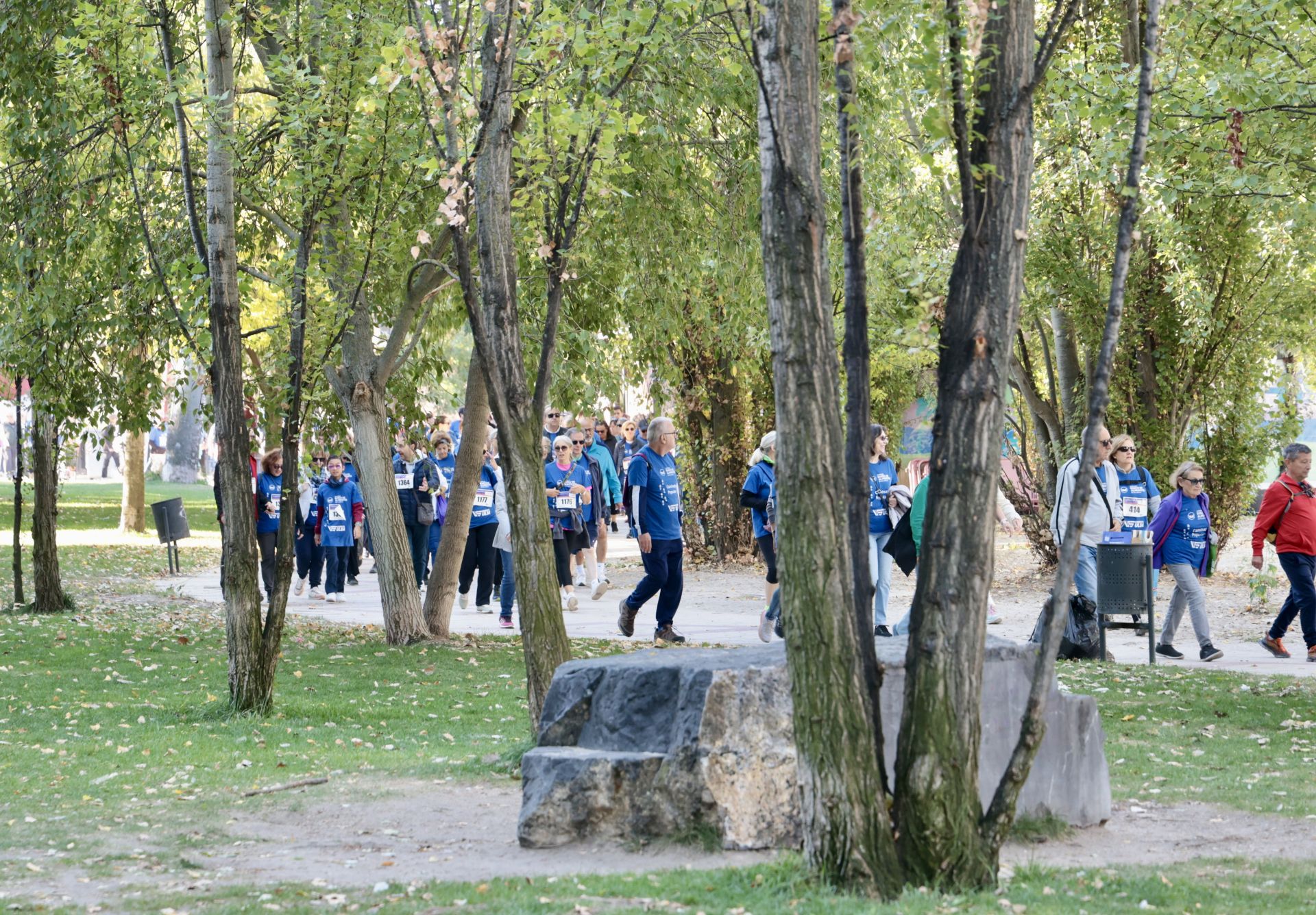 Caminata popular a beneficio del Banco de Alimentos de Valladolid