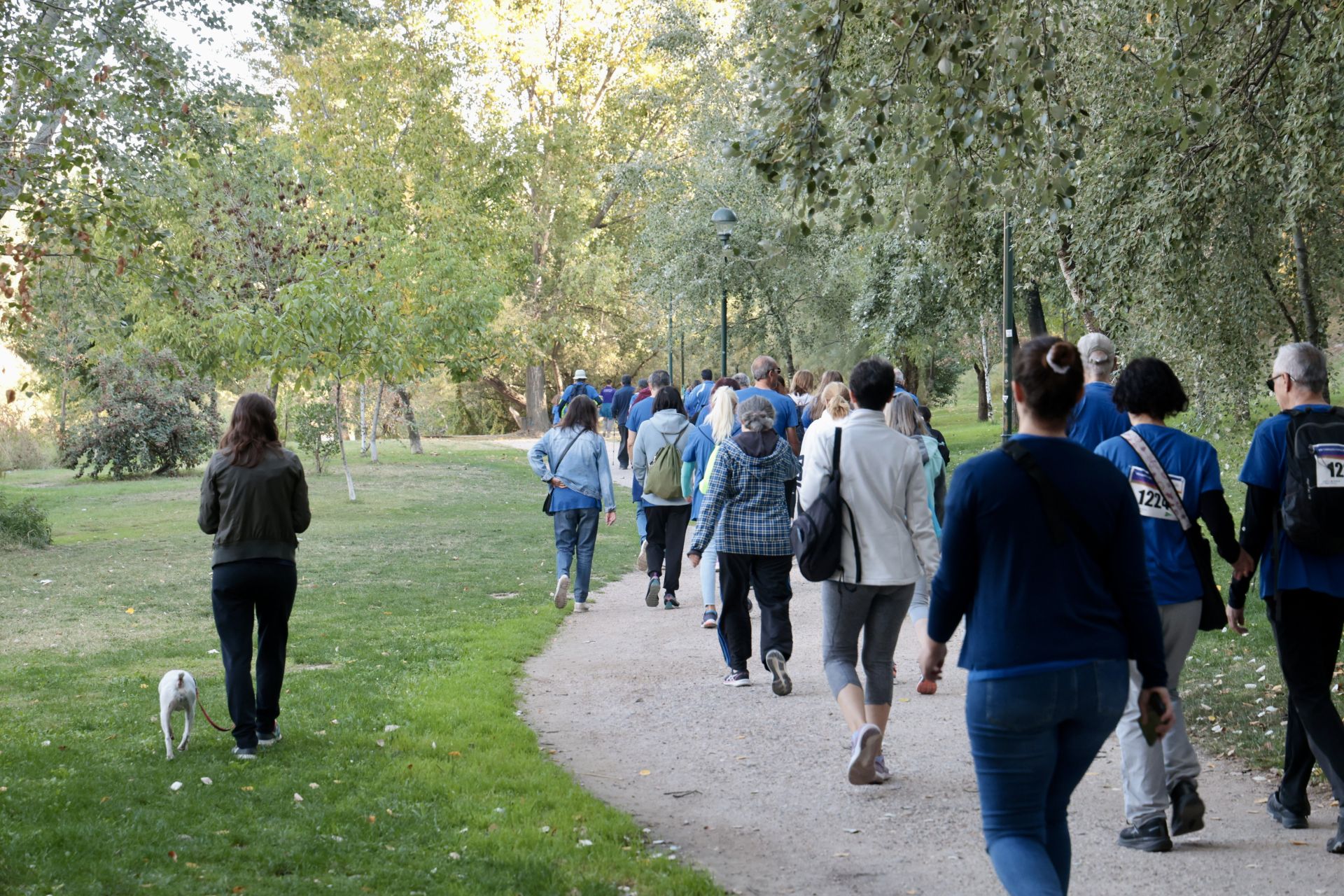Caminata popular a beneficio del Banco de Alimentos de Valladolid