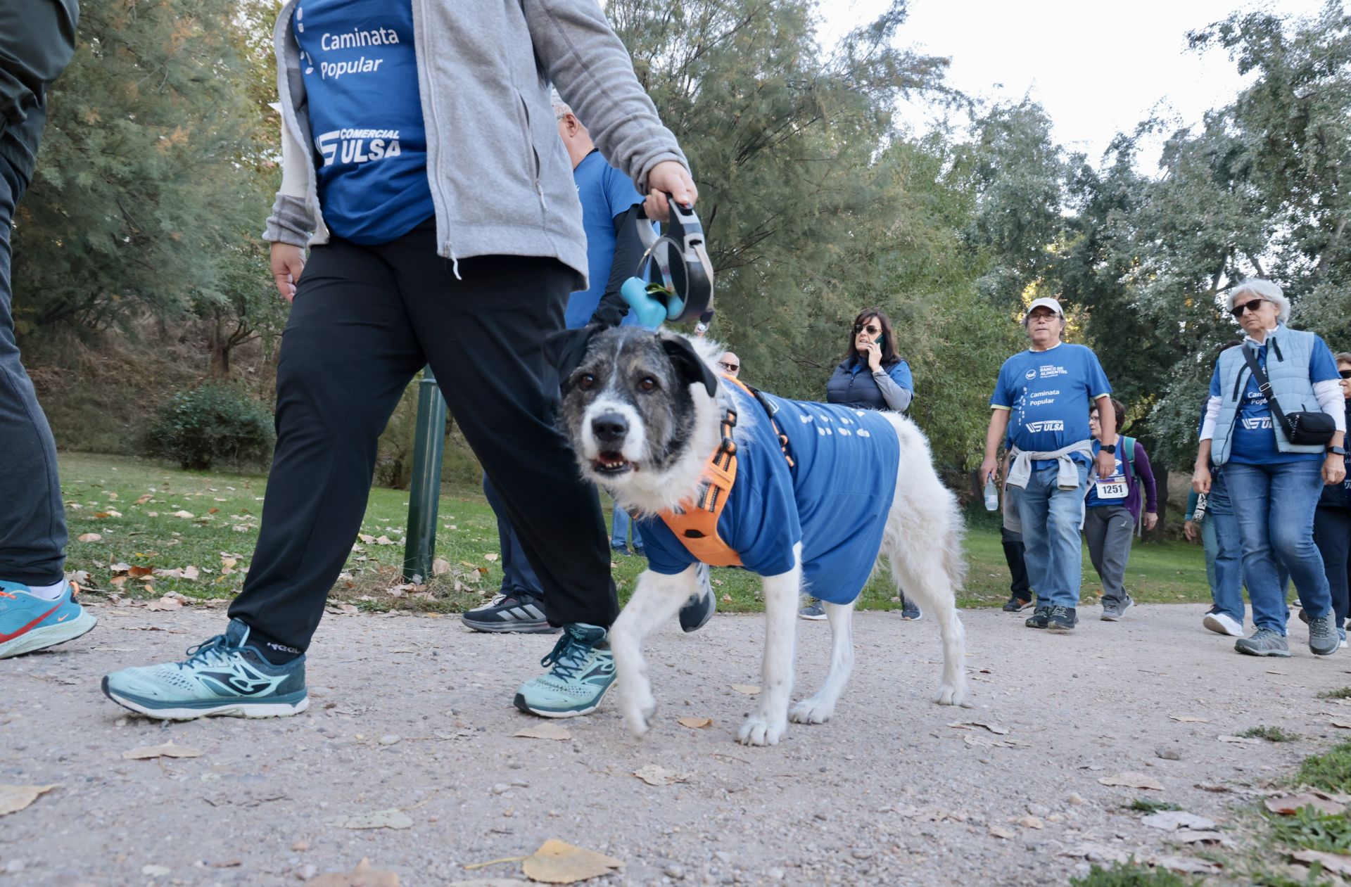 Caminata popular a beneficio del Banco de Alimentos de Valladolid
