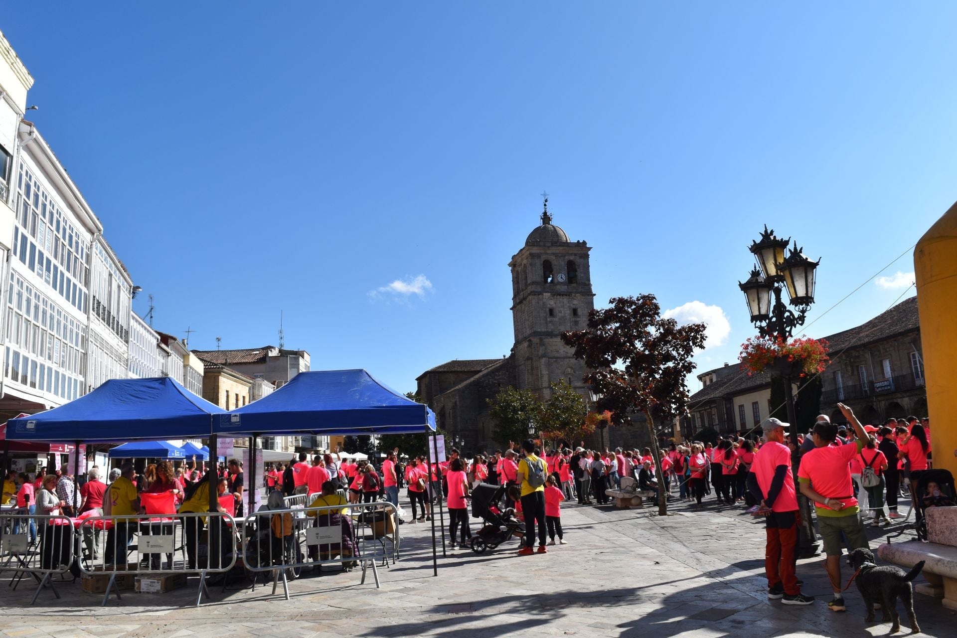 Aguilar de Campoo marcha contra el cáncer