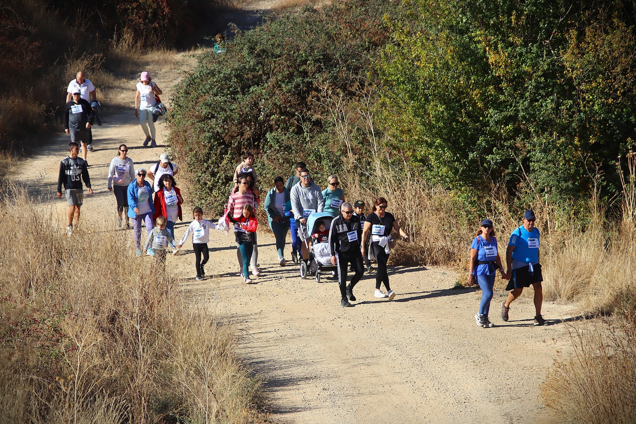 Castromonte camina contra el sarcoma de Ewing