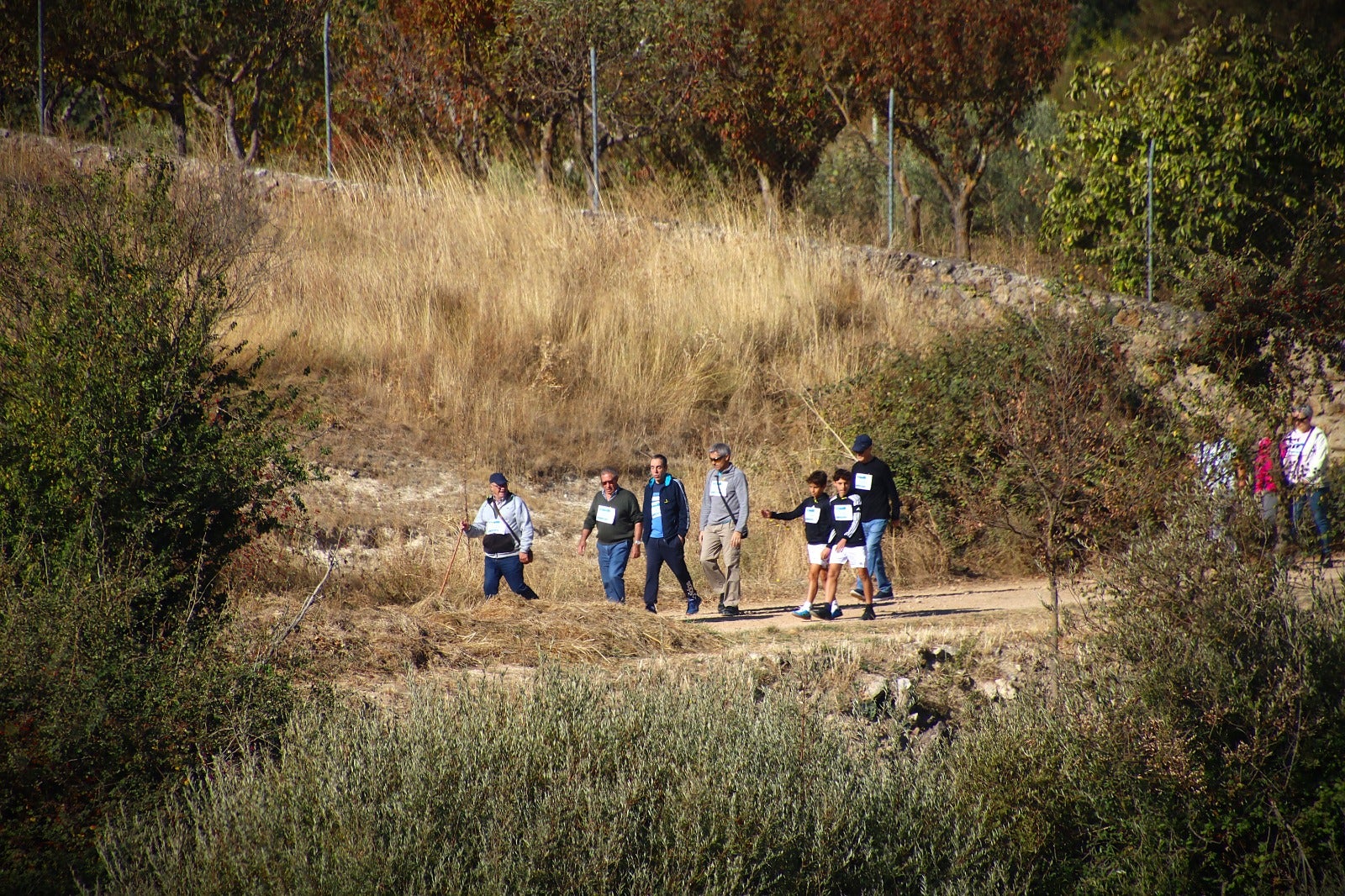 Castromonte camina contra el sarcoma de Ewing