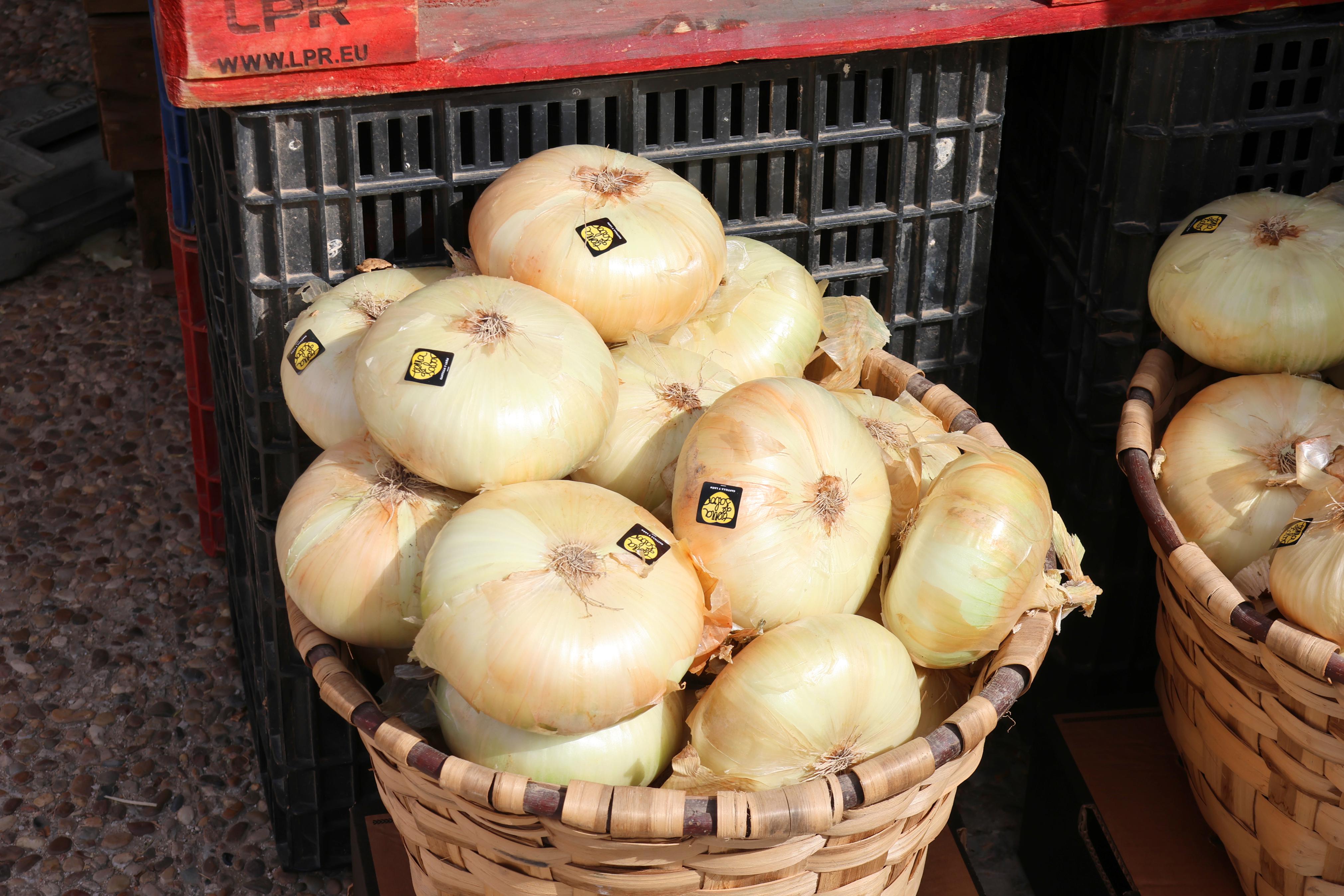 XX Feria de la Cebolla Horcal en Palenzuela