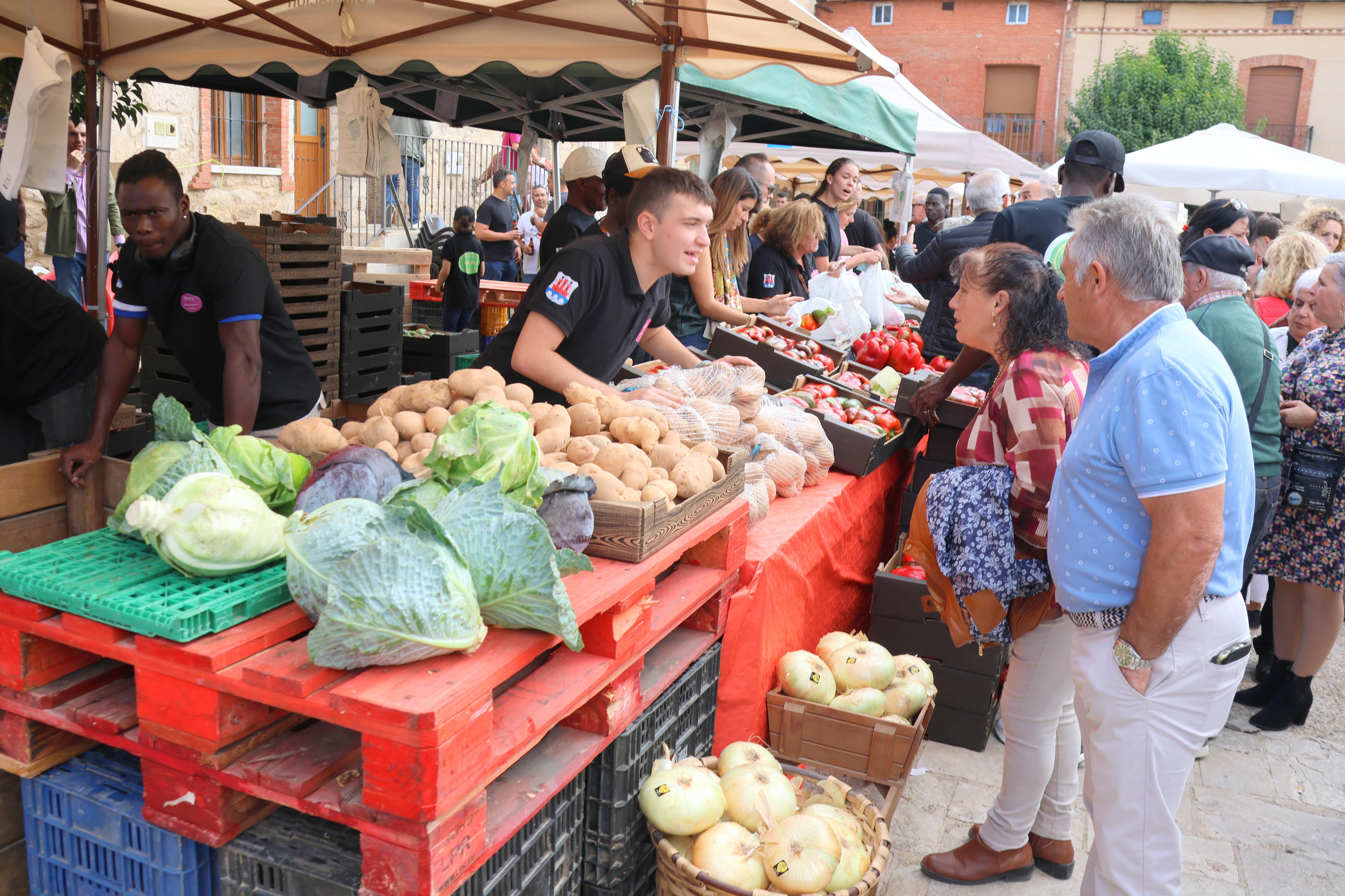 XX Feria de la Cebolla Horcal en Palenzuela