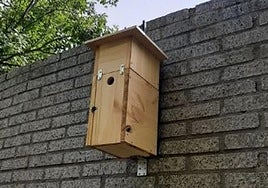 Caja-nido instalada en el campus de Palencia.