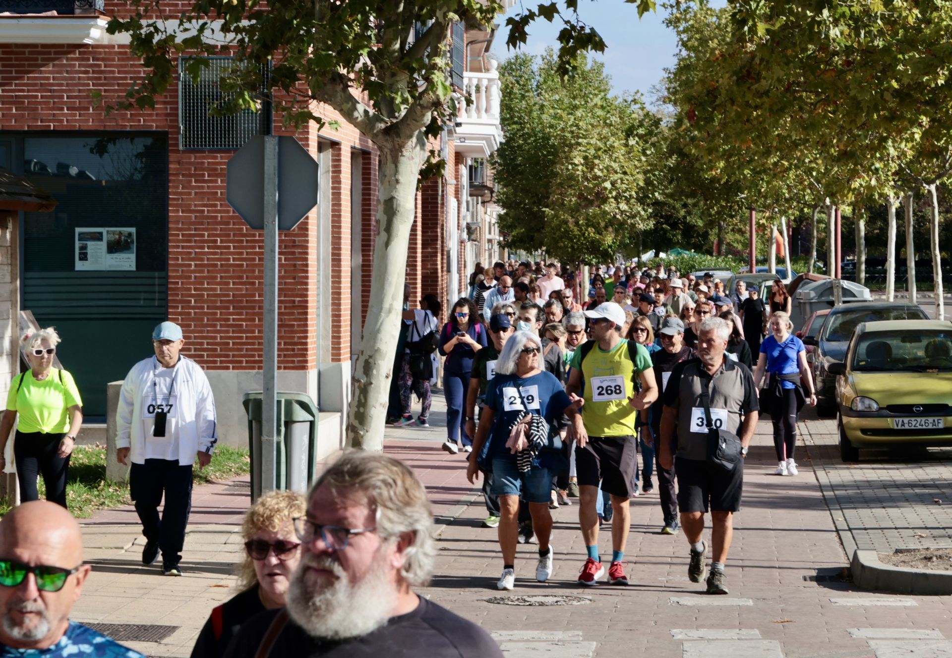IV Marcha a favor de las personas con daño cerebral adquirido en Valladolid