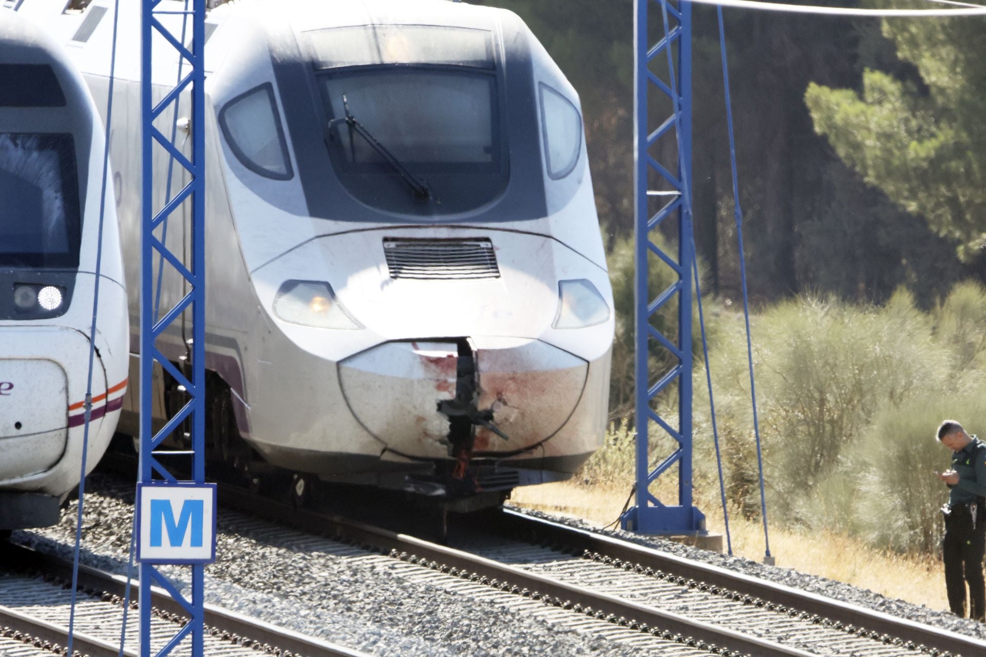 Las imágenes del tren detenido entre Olmedo y Valdestillas