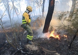 Un profesional del operativo de extinción de incendios apaga un fuego en Coca.