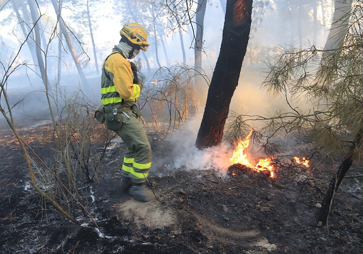 Un profesional del operativo de extinción de incendios apaga un fuego en Coca.