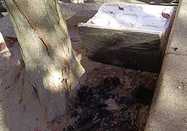 Restos de las instalaciones quemadas en el acto vandálico contra una colonia de gatos en Cuéllar.