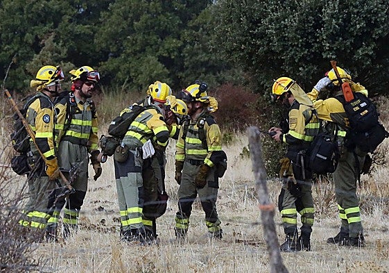Efectivos de una brigada forestal en el incendio de La Pinilla.