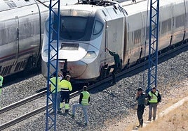El tren, detenido este martes por la mañana a la altura de Hornillos de Eresma.