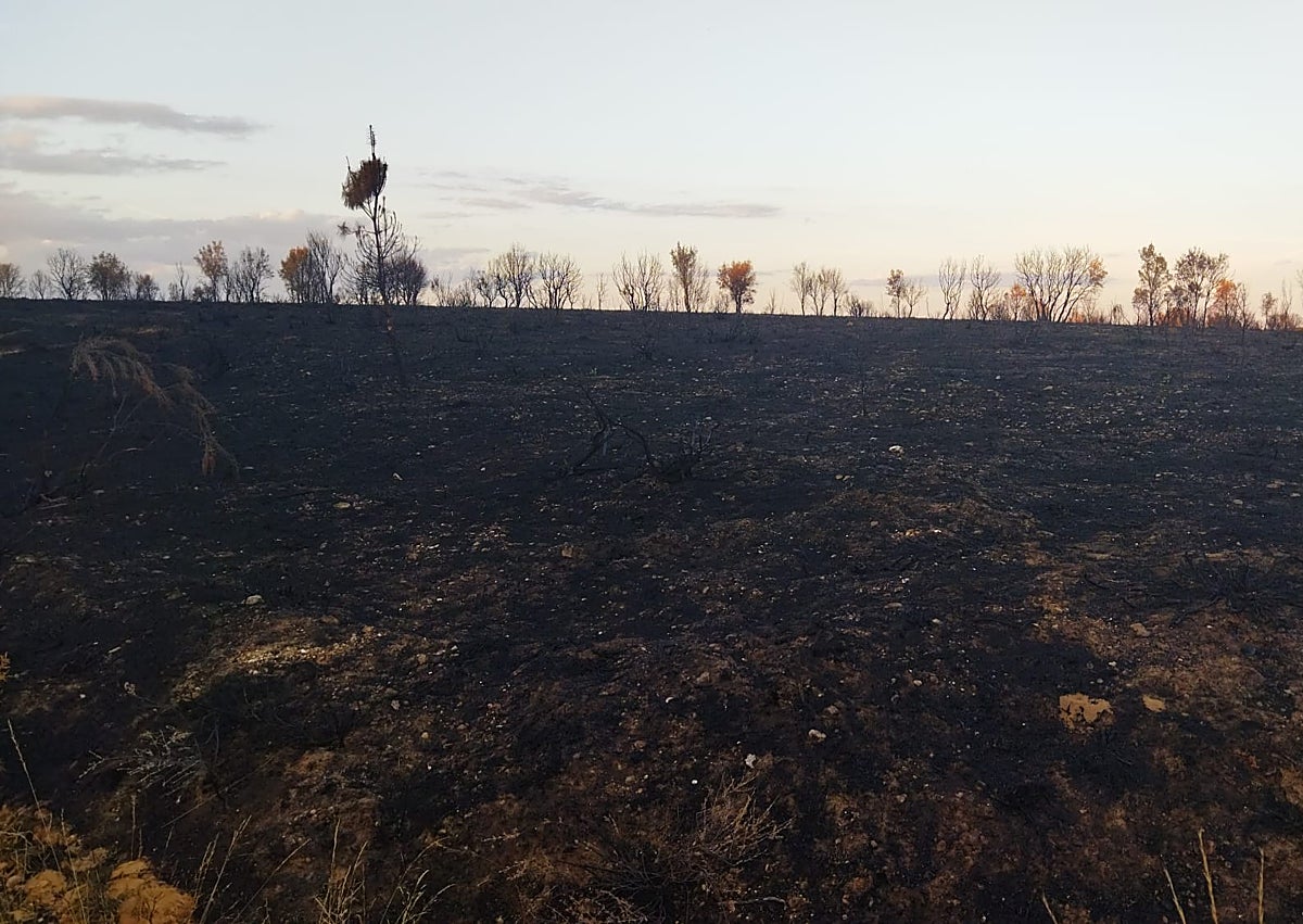 Imagen secundaria 1 - En Molezuelas de la Carballeda, el fuego se quedó a 150 metros del pueblo.