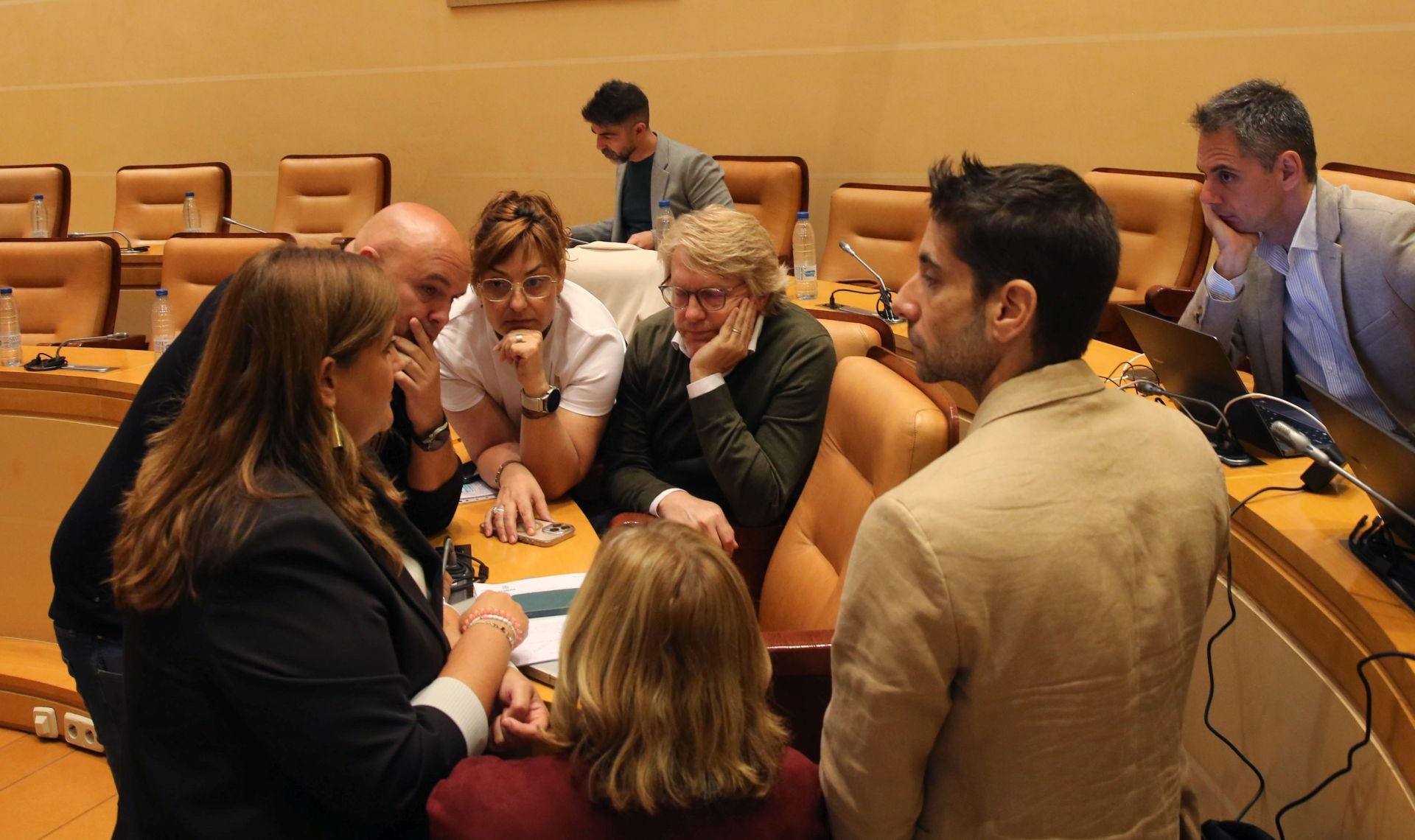 Fotografías de la mañana municipal en el Ayuntamiento de Segovia