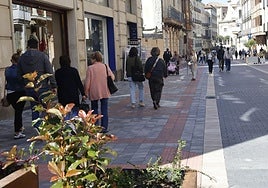 Calle Don Sancho, tras la peatonalización.