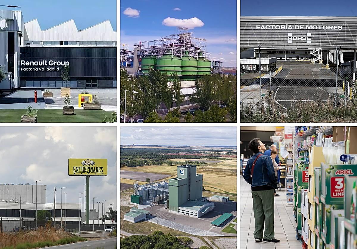 Algunas de las empresas o sectores que conforman el 'Top 10' en Valladolid.