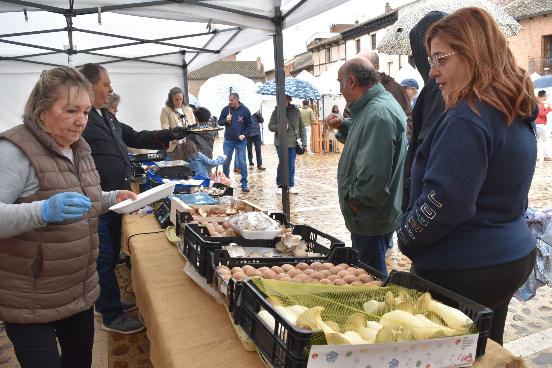 Saldaña presume de legumbres