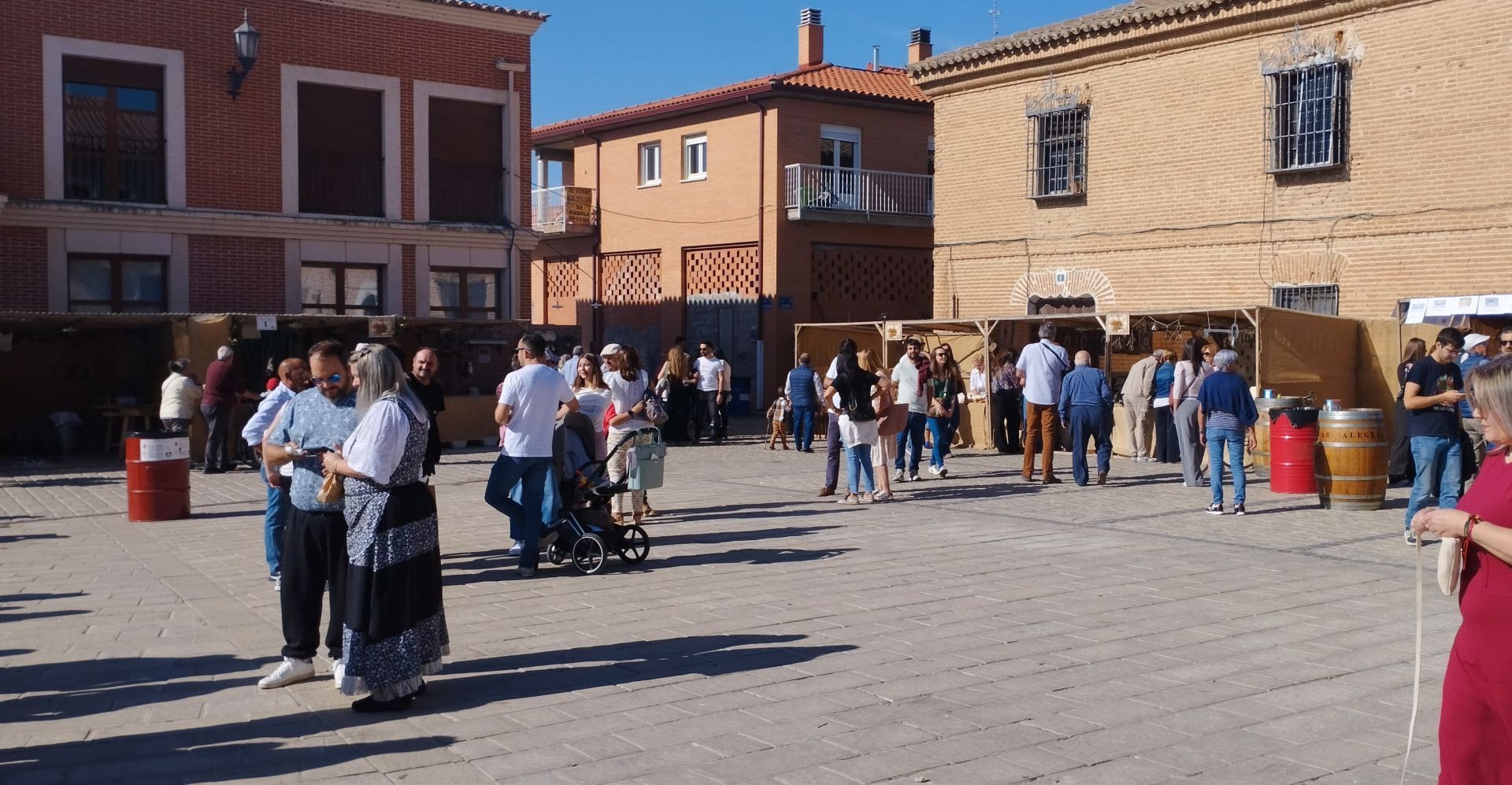 Las imágenes de la XIX Feria de Oficios Aldeanueva