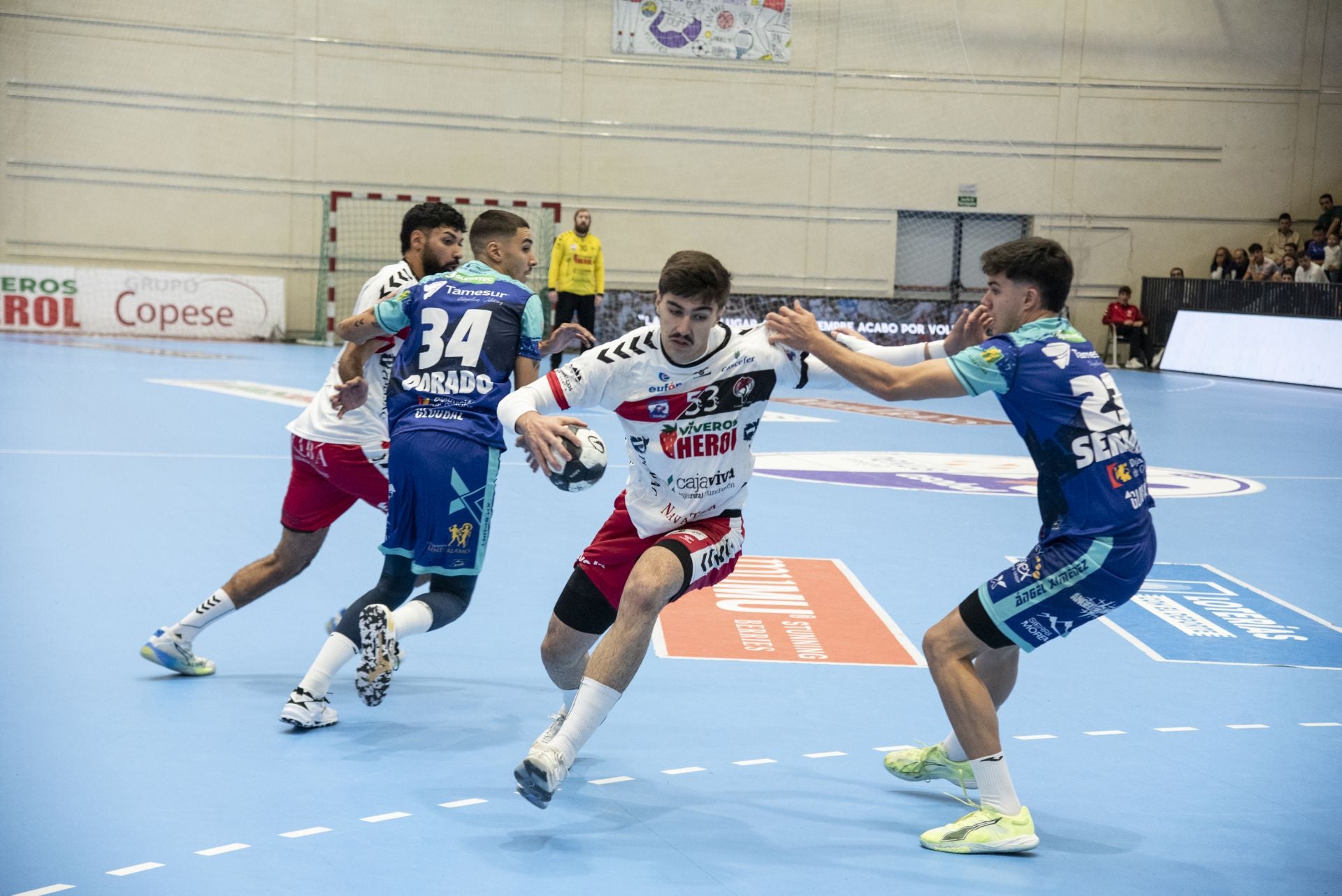 La derrota del Balonmano Nava, en imágenes