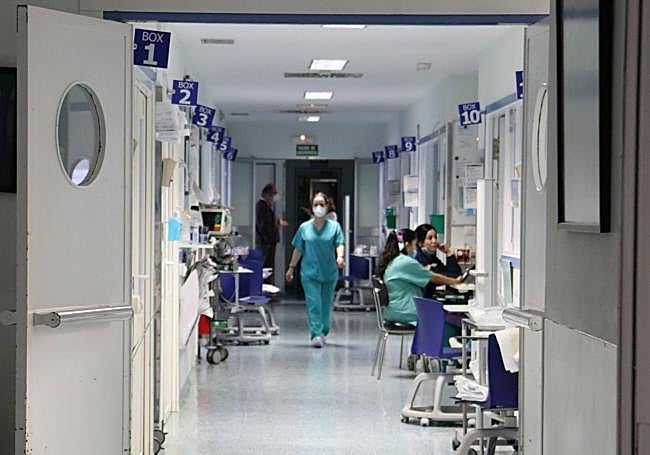 Hospital Clínico Universitario de Valladolid.