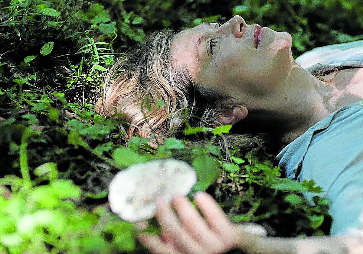 'Desire lines', de Dane Komljen.