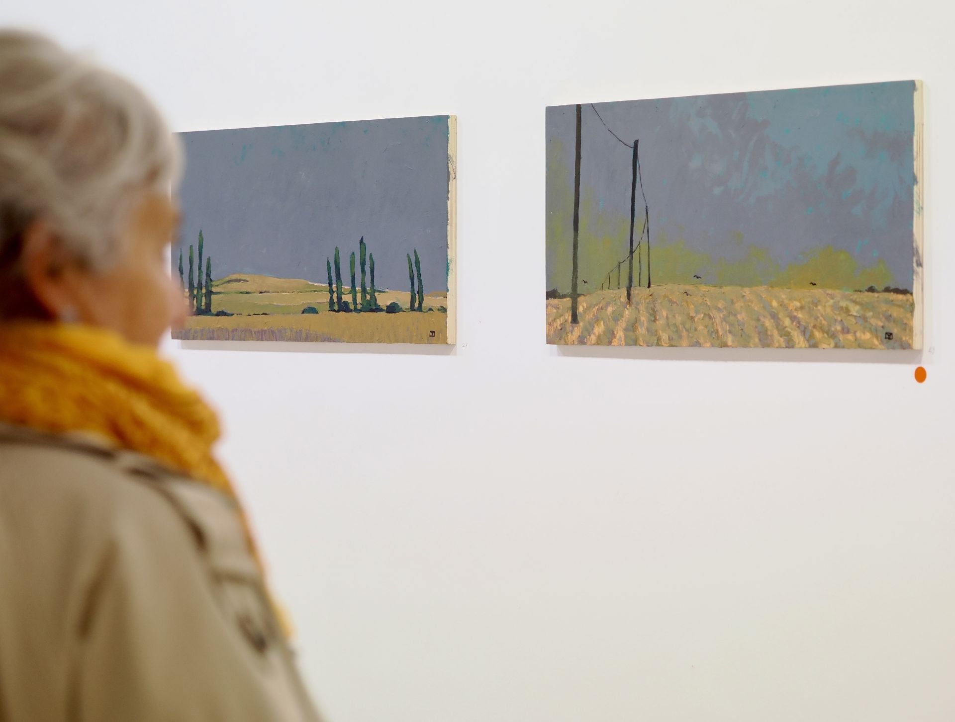 Las imágenes de la exposición de Gerardo Vacas en Valladolid