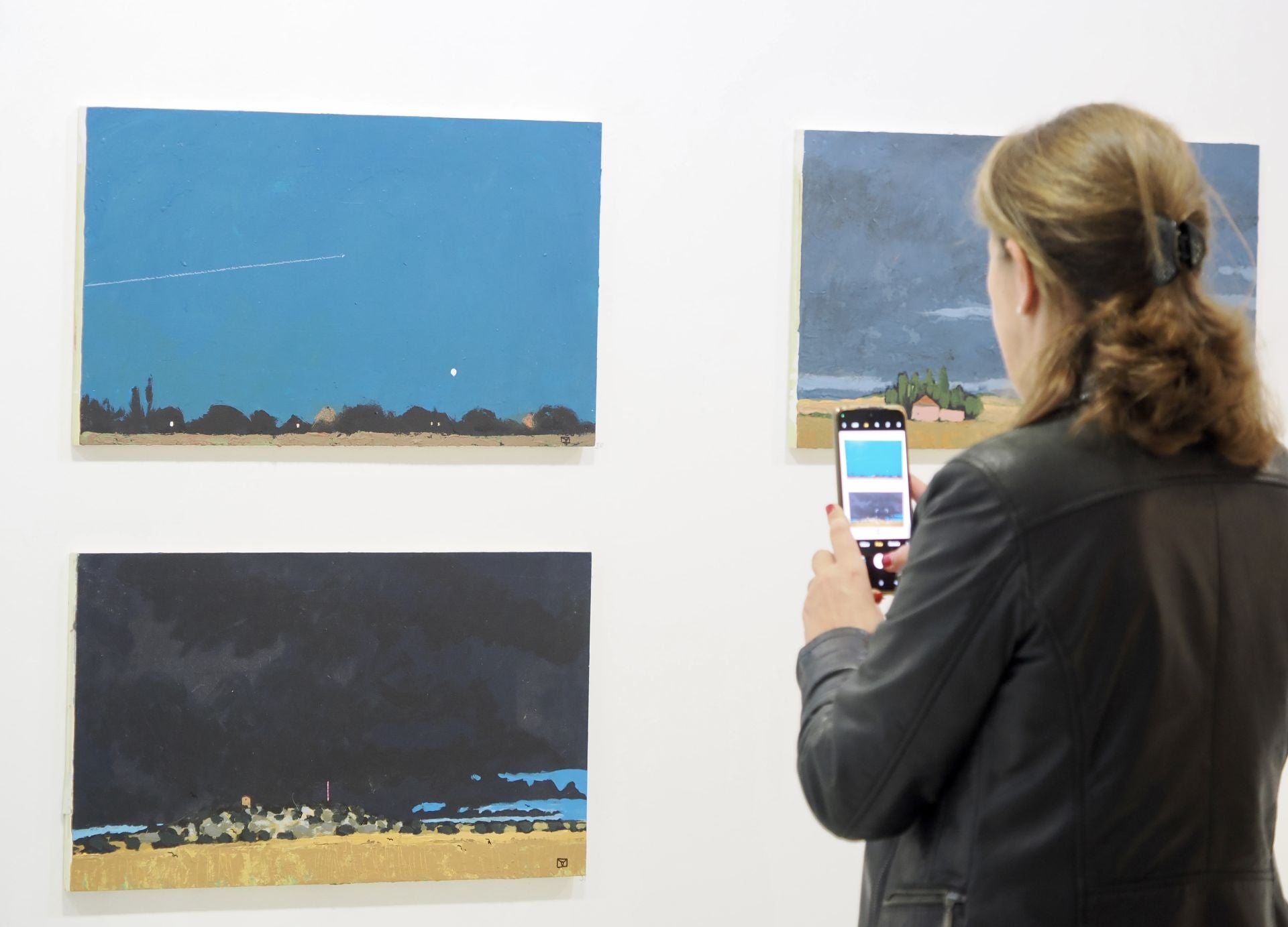 Las imágenes de la exposición de Gerardo Vacas en Valladolid