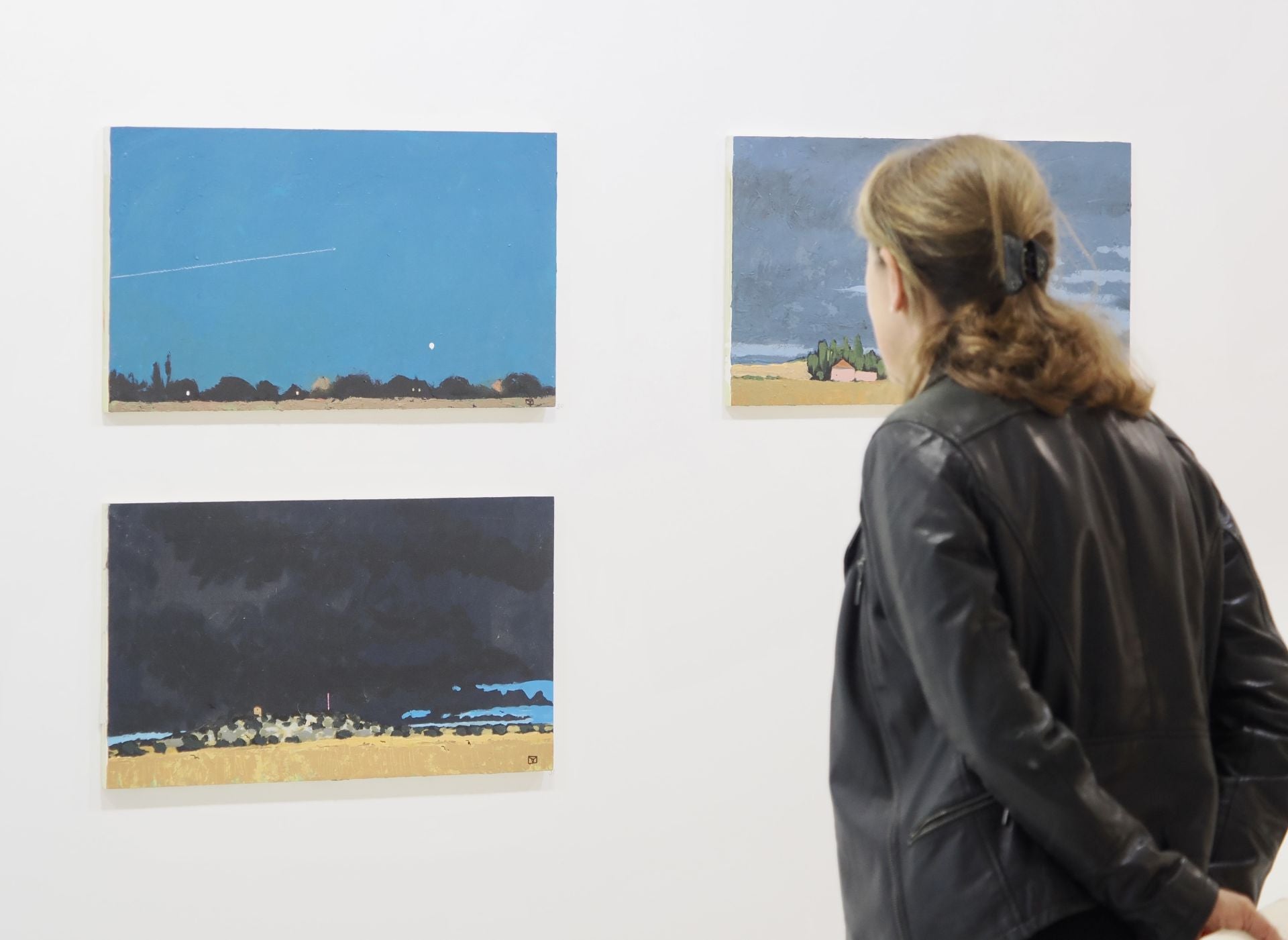 Las imágenes de la exposición de Gerardo Vacas en Valladolid