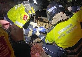 El corzo atrapado en la valla de la Cuesta de los Hoyos.
