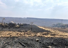 Zona arrasada por las llamas, el pasado mes de agosto en el entorno de Guardo.