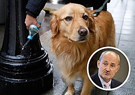 Un propietario limpia la micción de su perro en la base de una farola. En el círculo, el concejal Alberto Cuadrado.