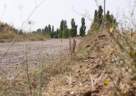 Camino de las Berzosas, lugar próximo al hallazgo del cadáver de Ángel Benéitez.