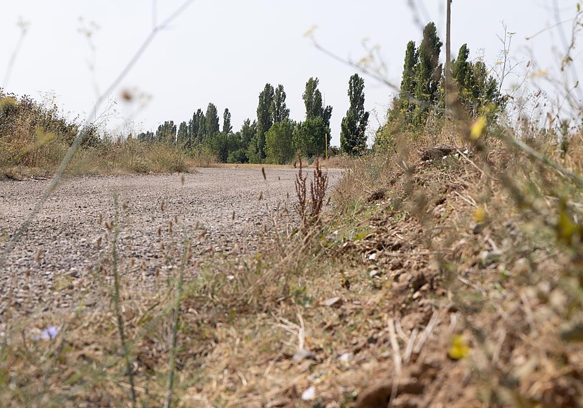 Camino de las Berzosas, lugar próximo al hallazgo del cadáver de Ángel Benéitez.
