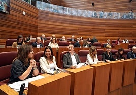 Bancada socialista en el Pleno de las Cortes del 14 de mayo, cuando se produjo el relevo del anterior equipo.