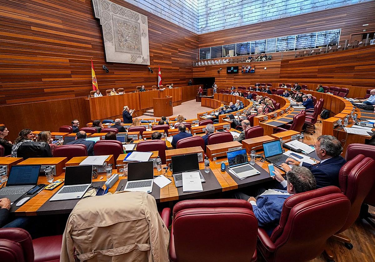 Pleno de las Cortes de Castilla y León, esta última semana.