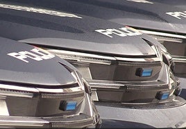 Vehículos de la Policía Nacional en Valladolid.