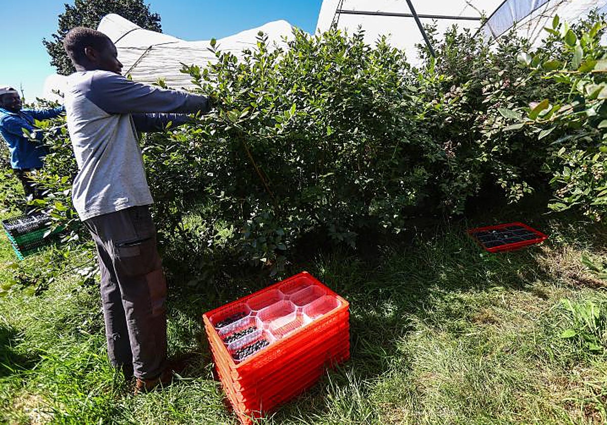 Integración, un reto enorme
