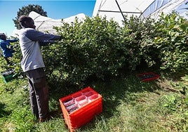 Integración, un reto enorme