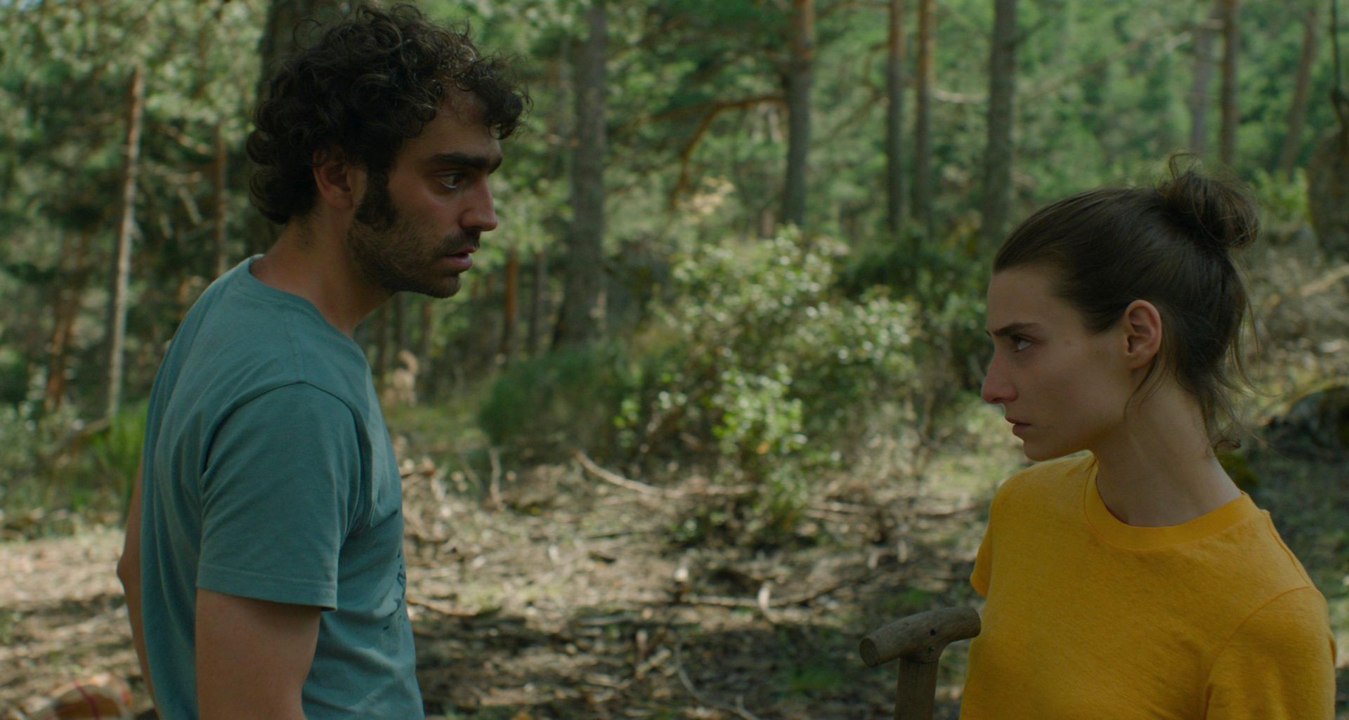 Sumisos y rebeldes, con y sin causa