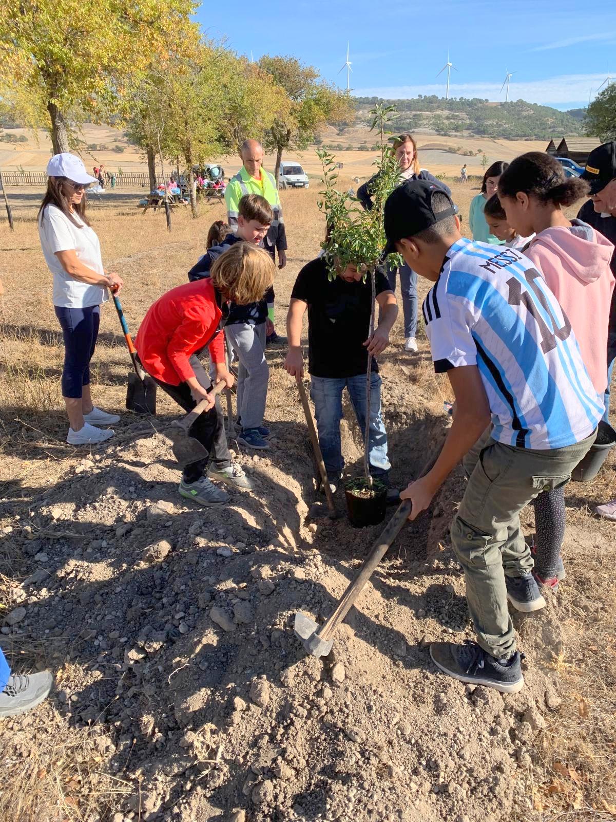 Plantación de Árboles en Baltanás