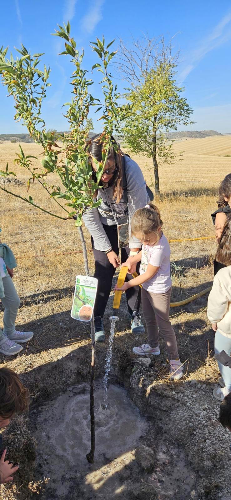Plantación de Árboles en Baltanás