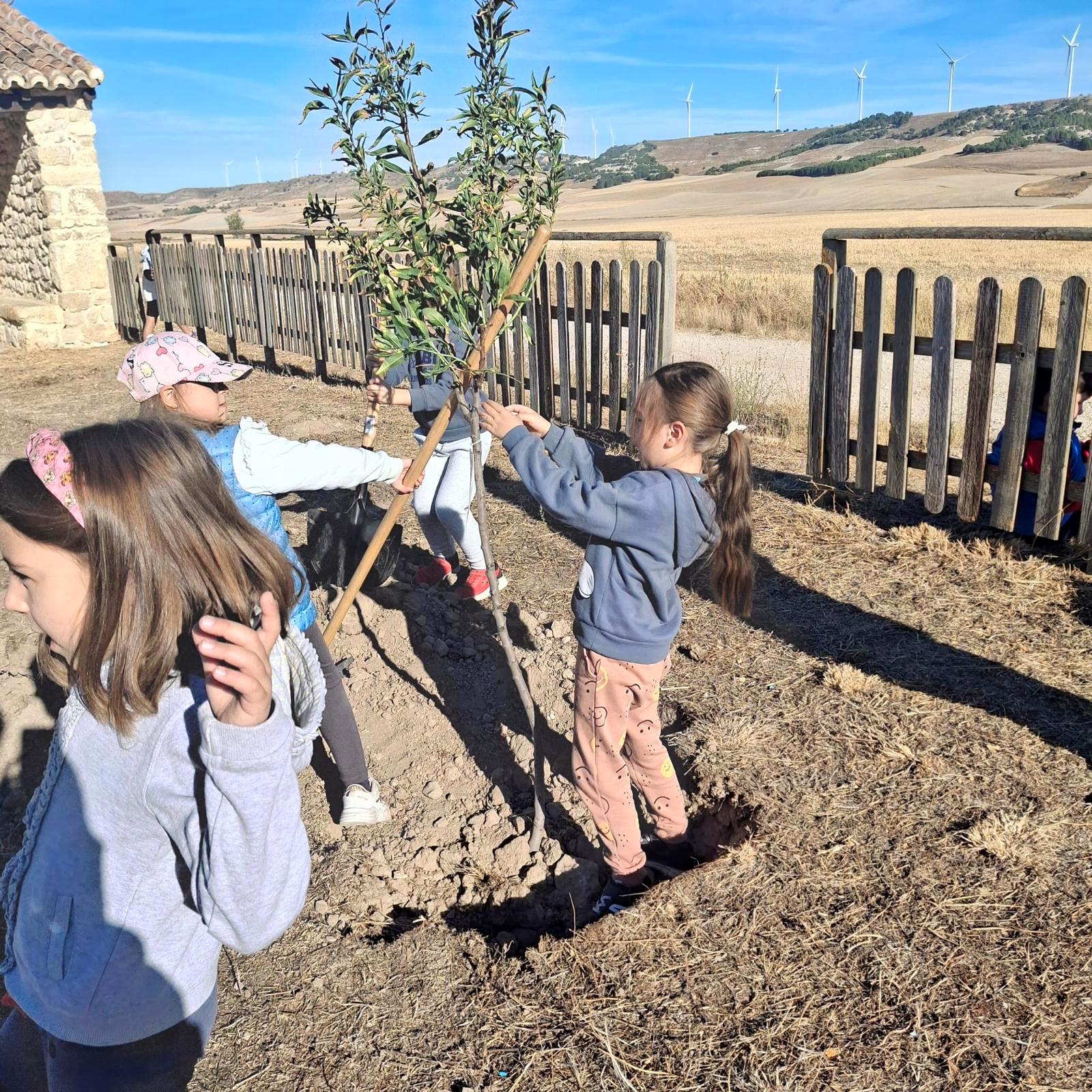 Plantación de Árboles en Baltanás
