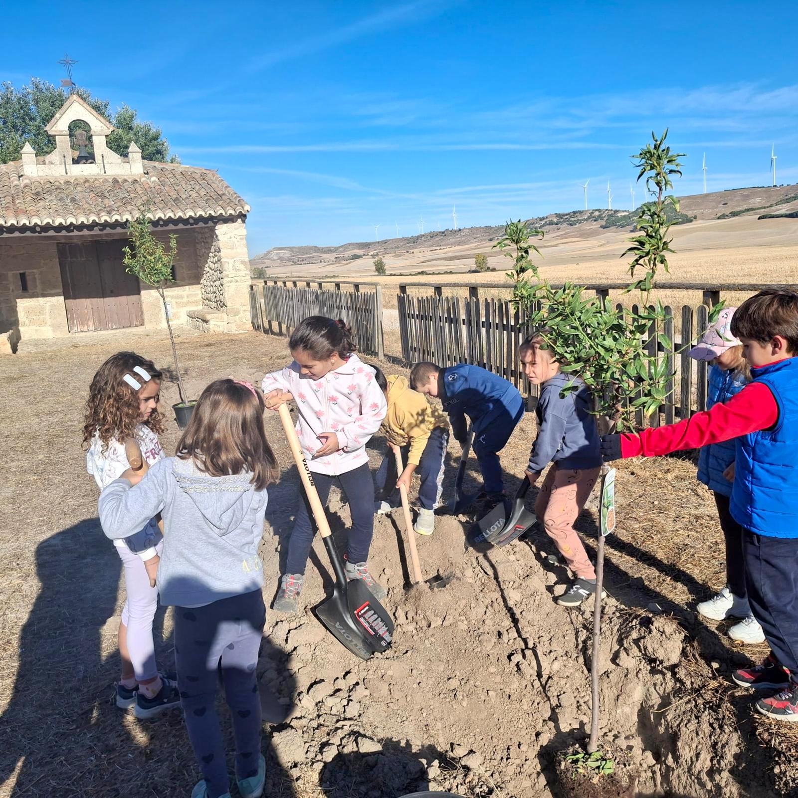 Plantación de Árboles en Baltanás